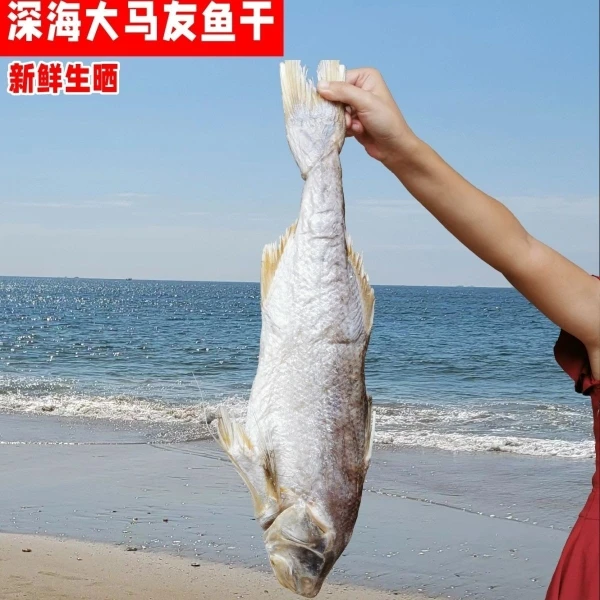 广东阳江特产咸鱼马友鱼干午鱼干整鱼大鱼干新鲜实肉海鲜干货