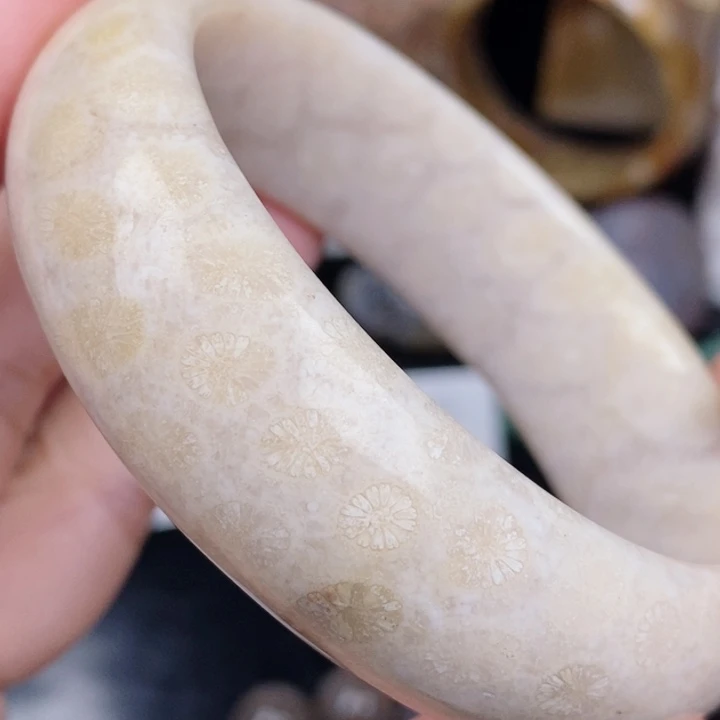 未镶嵌手镯硅化玉58.5