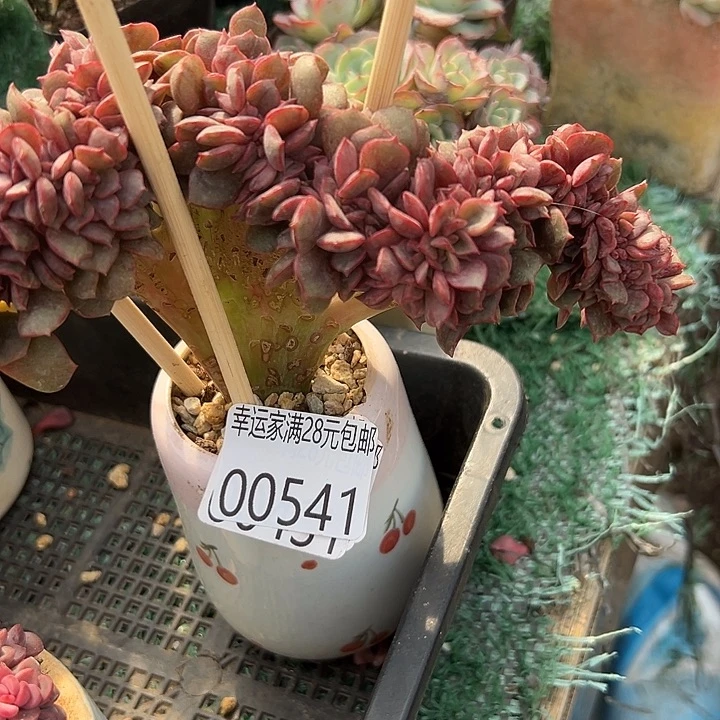 幸运的是我没有遇到过