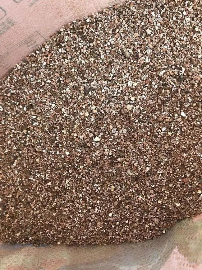 多肉植物肉锥专用比例颗粒土4包2斤