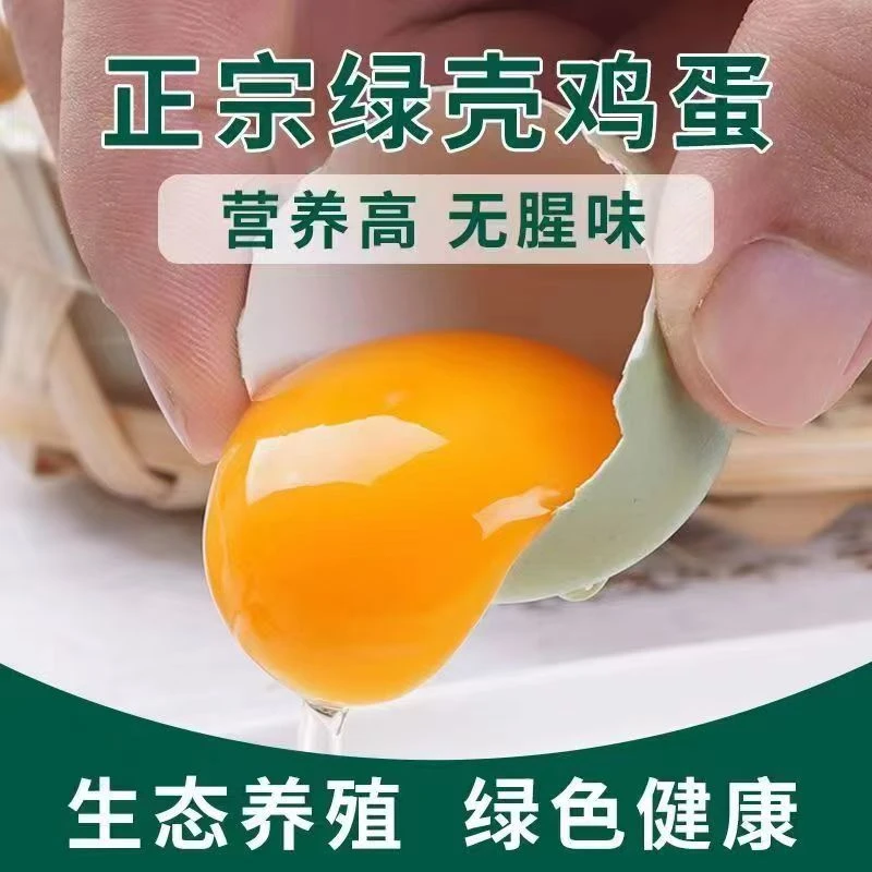 新鲜山林散养绿壳蛋高营养农家土鸡蛋现捡现发