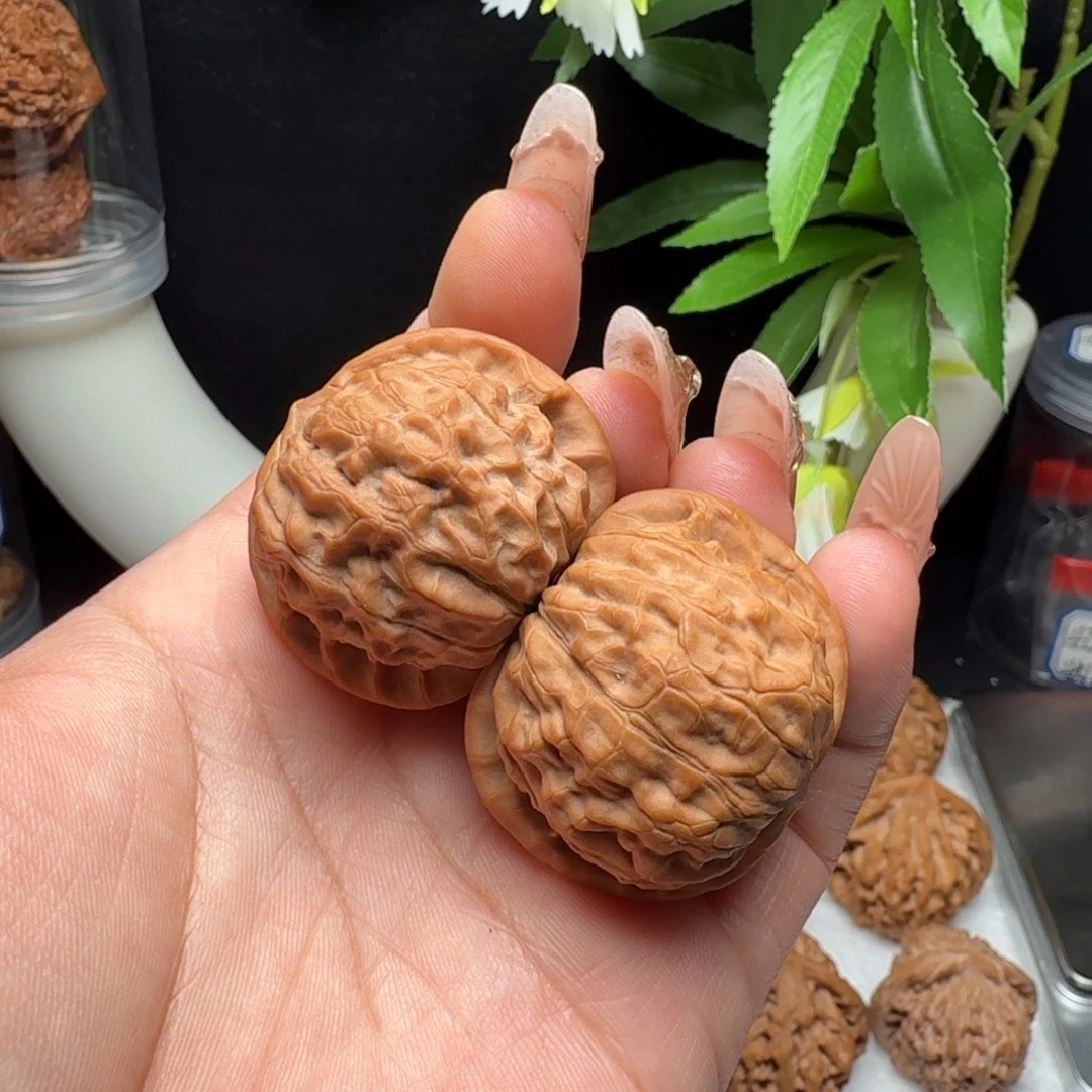 文玩核桃把件37石门元宝一代果