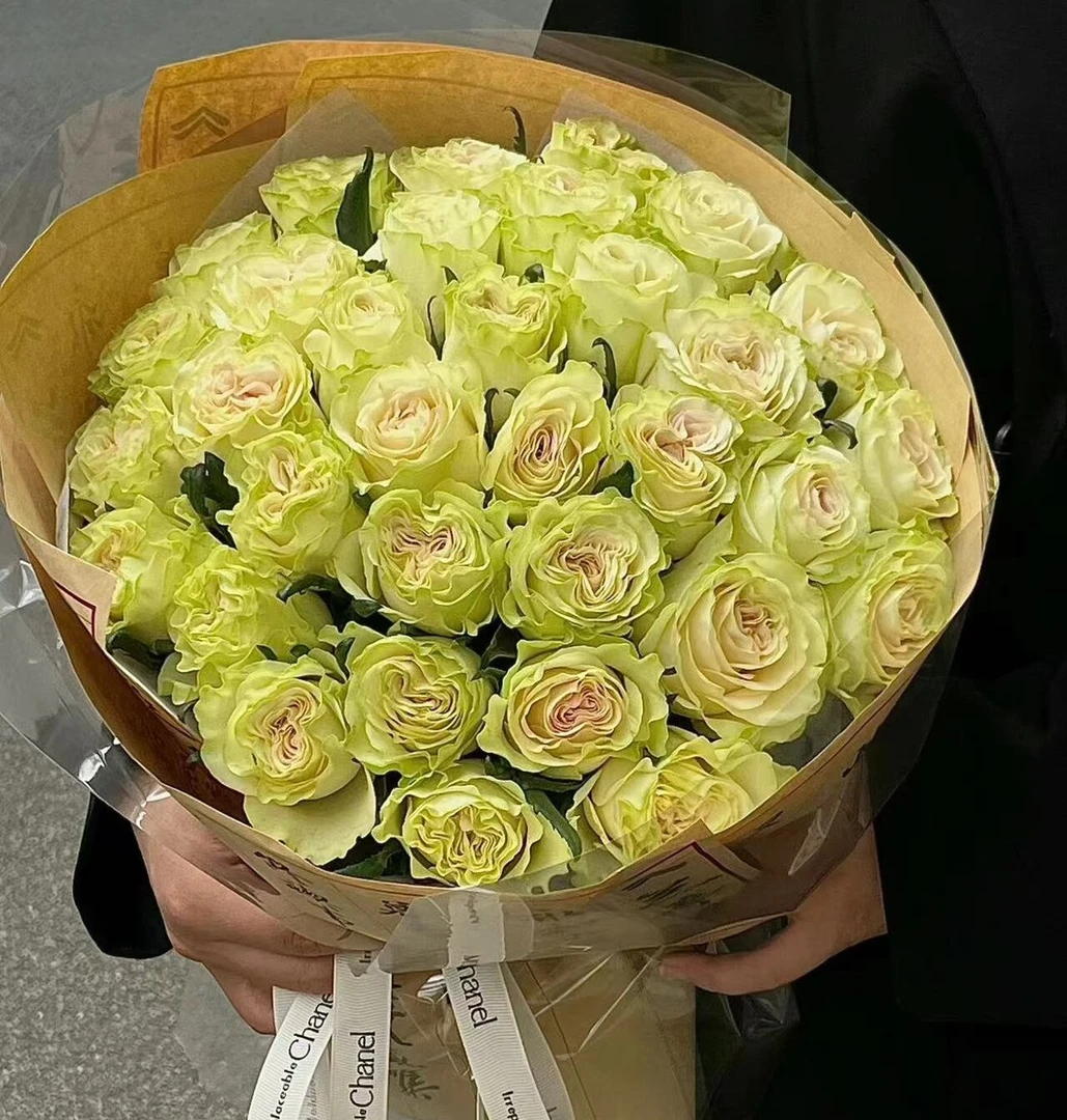 琉璃翠玫瑰  相同地址任意两单送配草一束