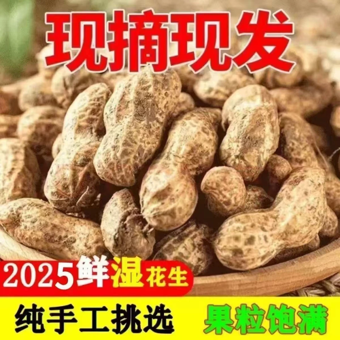 现采现发新鲜带壳湿花生可生吃水煮农家自种