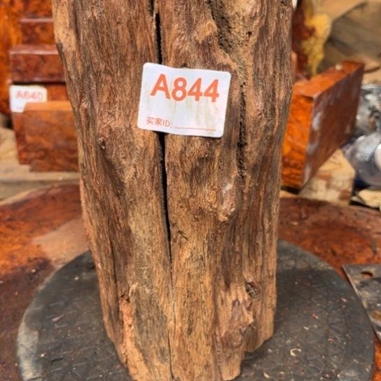 大果紫檀（缅甸花梨）