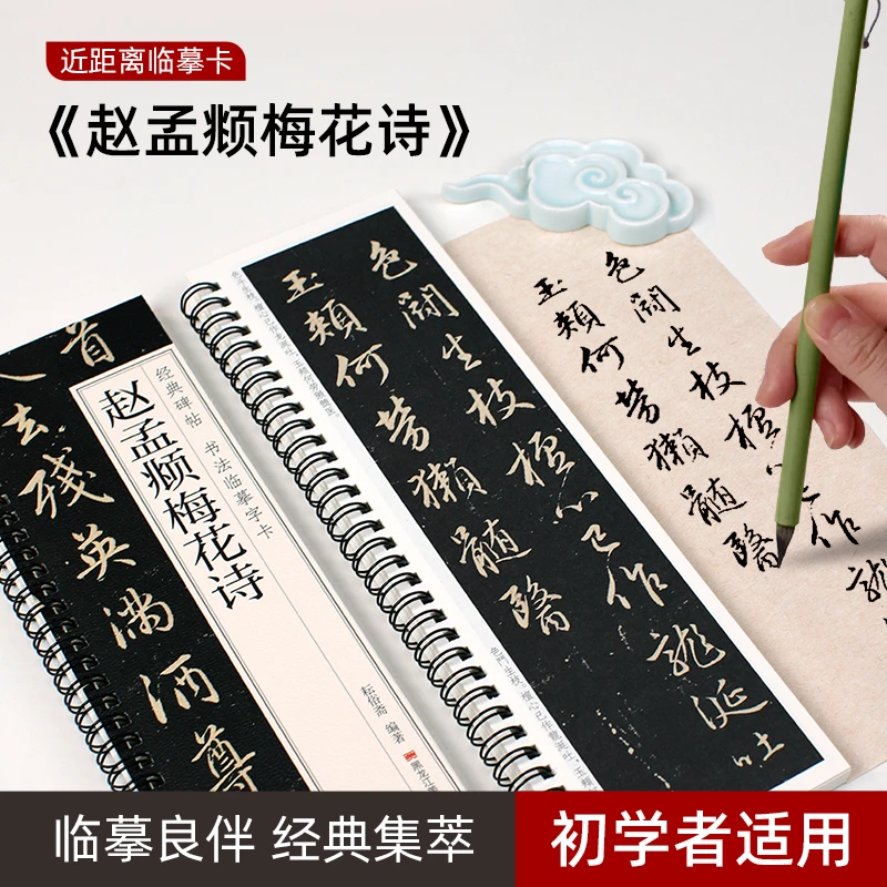 赵孟頫梅花诗经典碑帖书法近距离临摹字卡全文毛笔字帖书法字帖