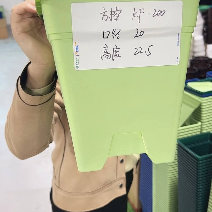 特价方盆口20高22果绿色无托5支