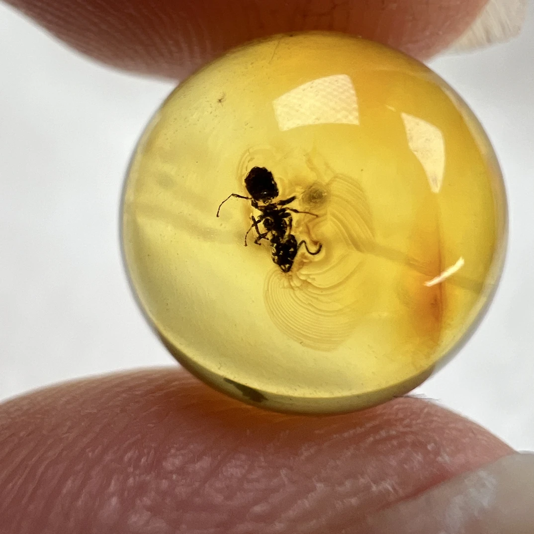 虫珀圆珠尺寸：12.3mm配饰顶珠多宝收藏打孔