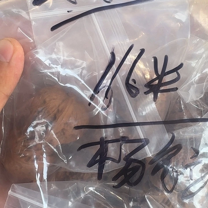 文玩核桃吊坠杨**万6对