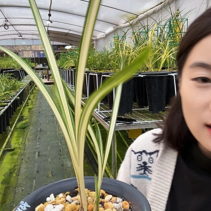渔***》完全开放天娇1234567890