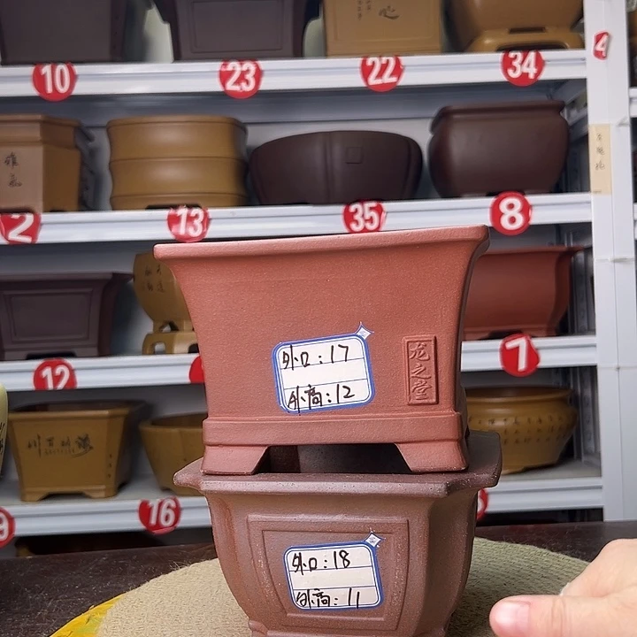 花盆紫砂蛇年大吉