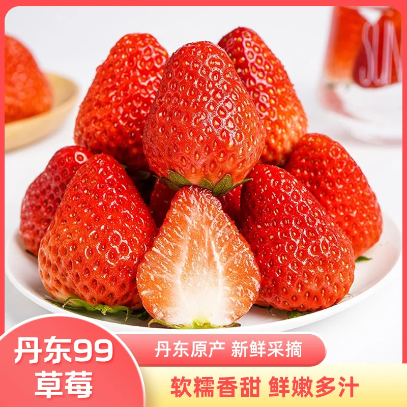 正宗丹东99草莓新鲜水果产地直发