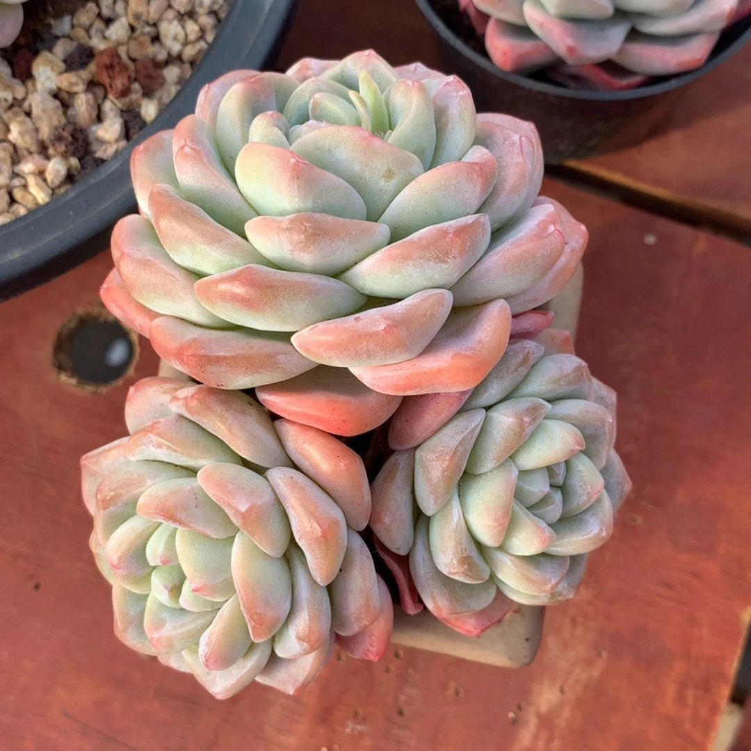 哈哈哈哈哈哈哈哈哈哈哈哈哈