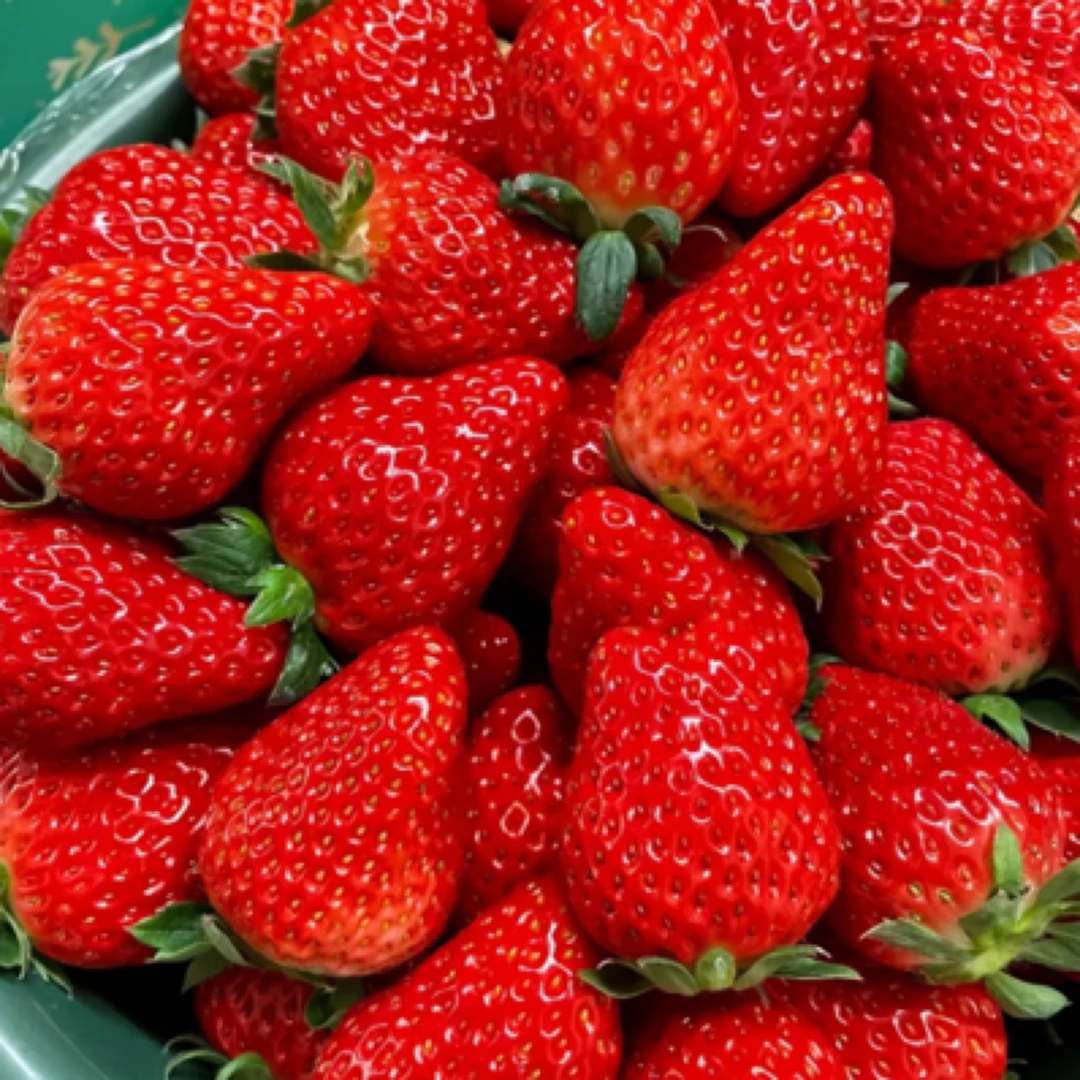 【鲜果汇优选】新鲜山东红颜草莓一盆2斤装