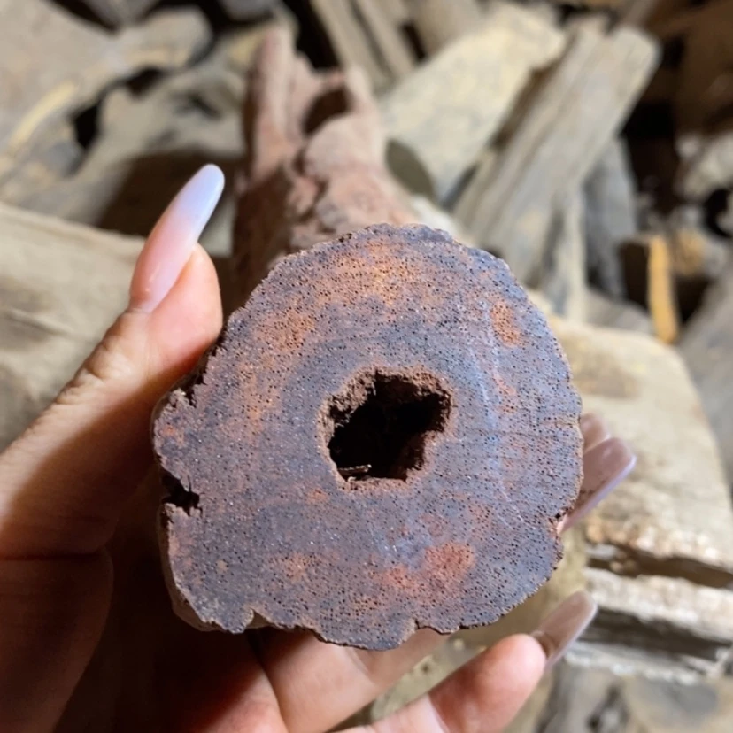 【闪购商品】手串贡木我****狱私人订制