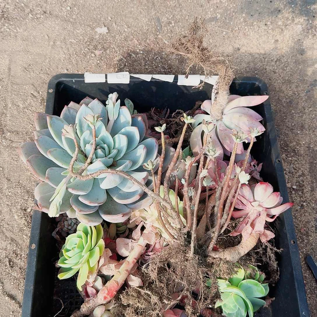 @***了满20包邮零下拍保温箱47号筐无售后