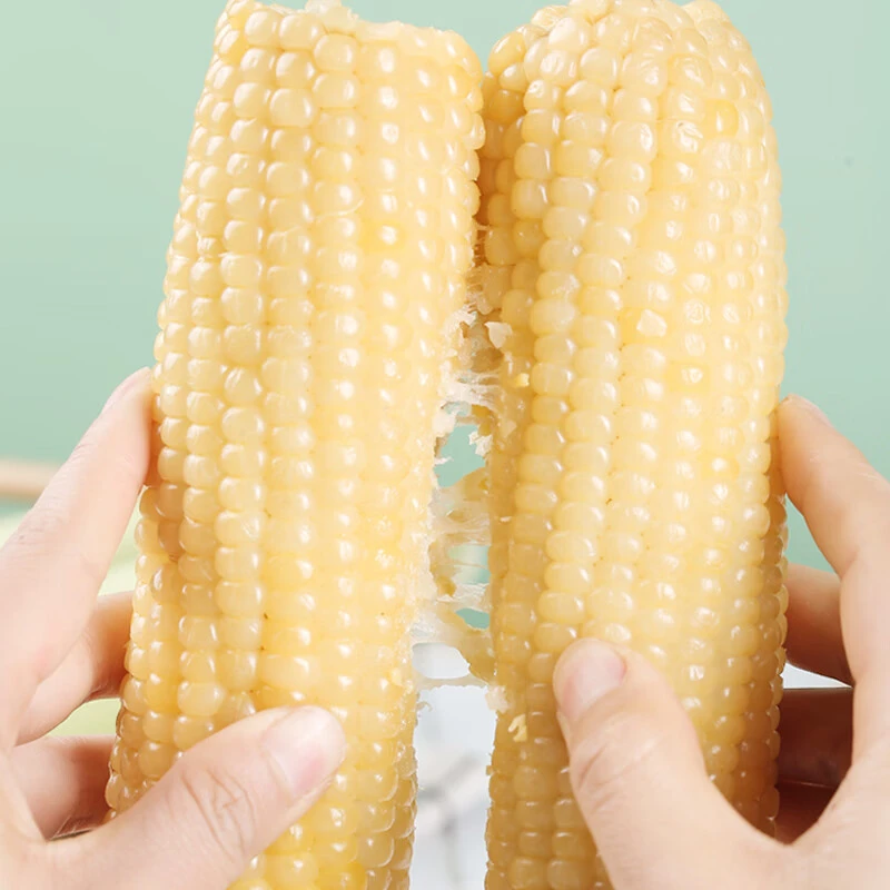 【金标白糯玉米】【香甜软糯】东北白糯玉米棒装真空包装