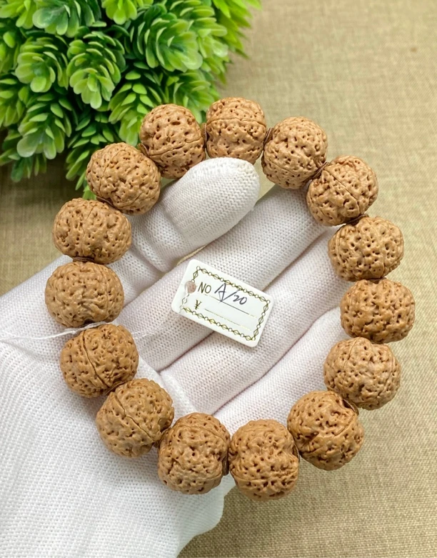 尼泊尔大金刚安娜粗筋五星蜂王A/20