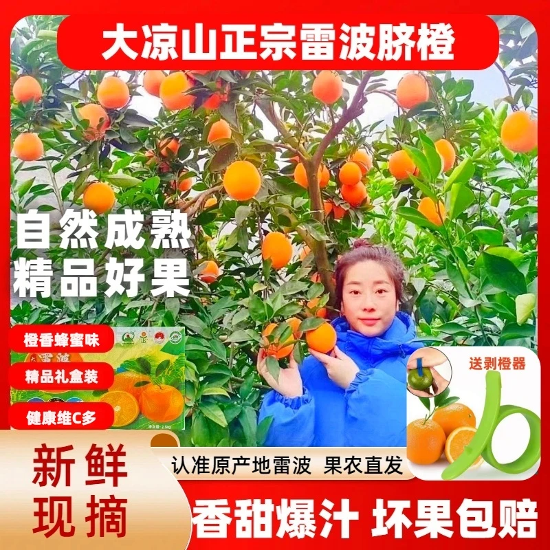 大凉山雷波脐橙纽荷尔2025新鲜水果孕妇水果爆汁薄皮非赣南奉节橙