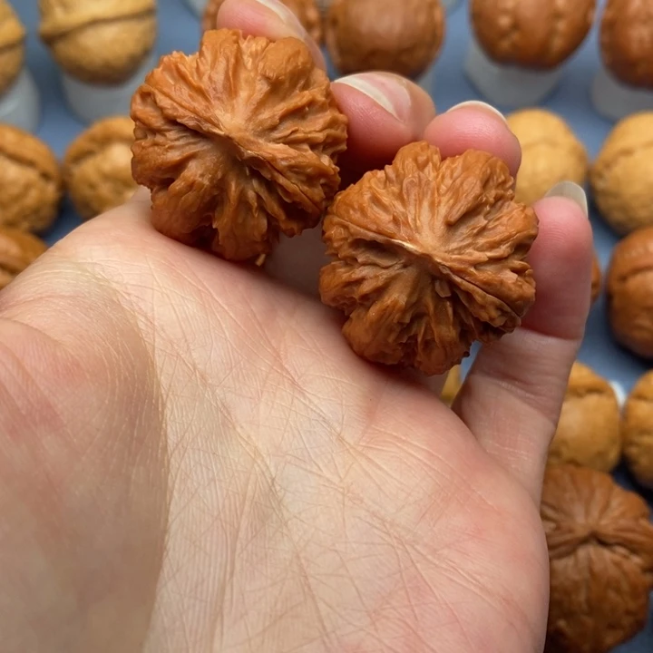 文玩核桃把件粗筋霸王龙