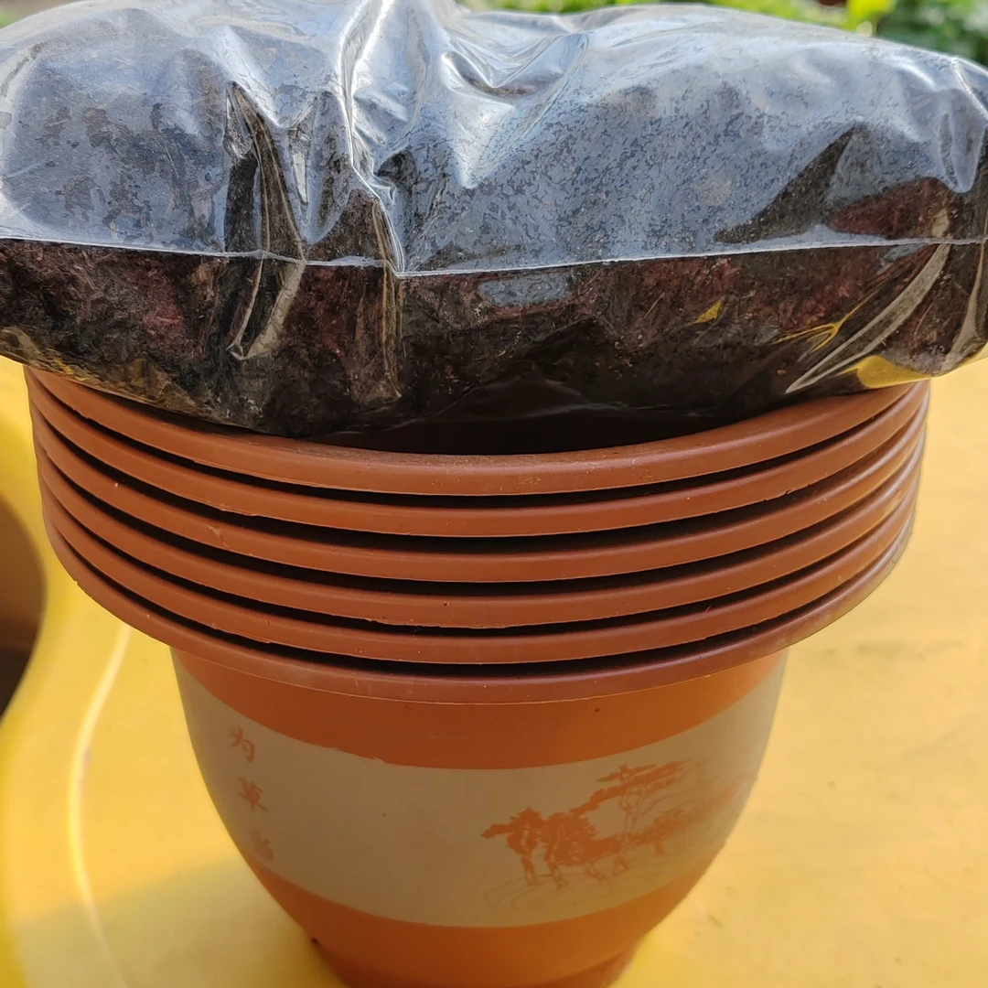 250的花盆6个草碳土包全疆包邮