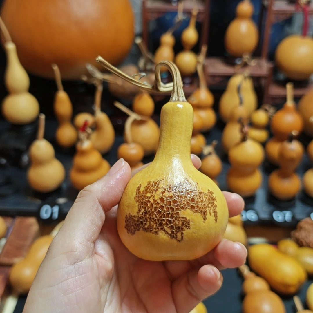 清***摇直播间链接葫芦葫芦