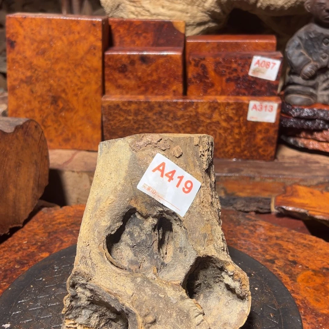 大果紫檀（缅甸花梨）