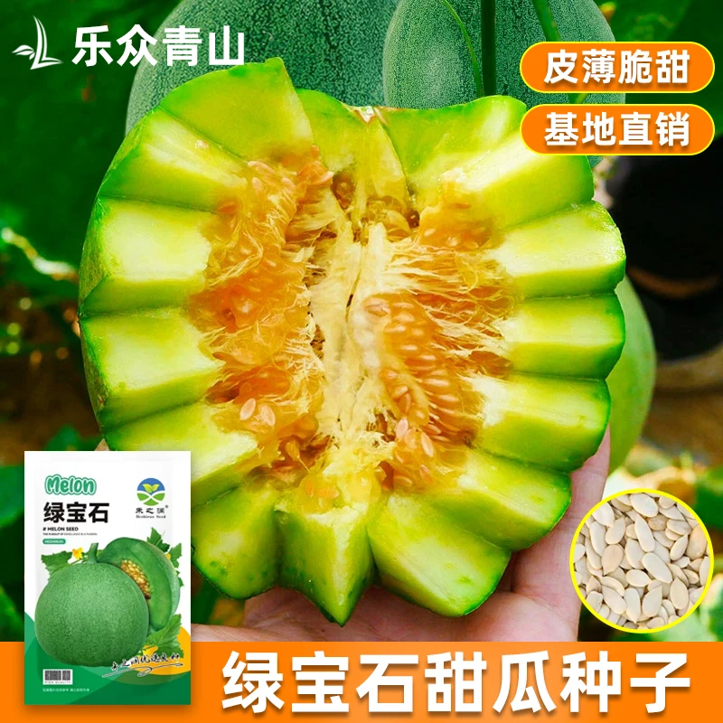 冰糖绿宝甜瓜种子皮薄甜脆抗裂