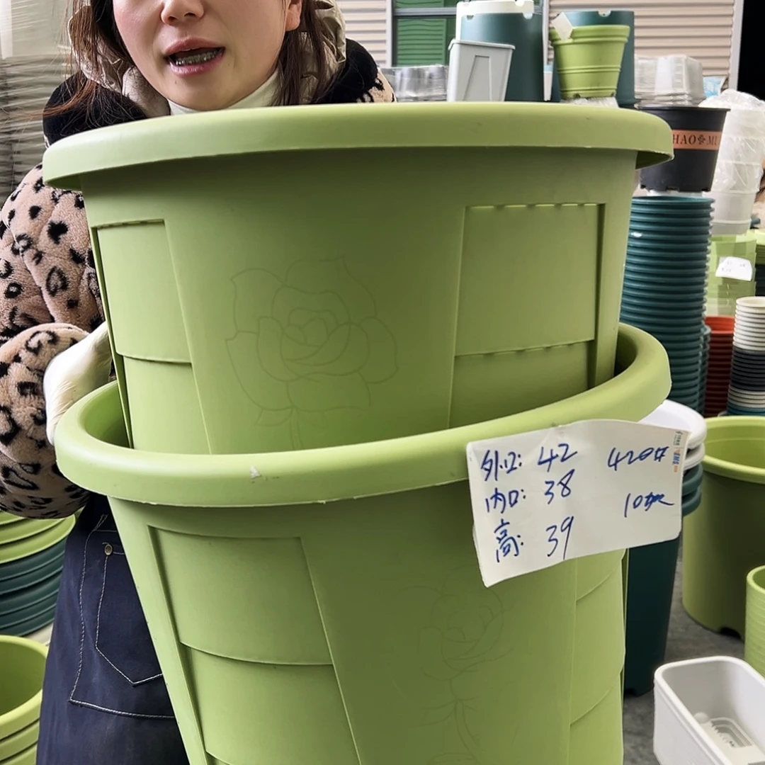 玫瑰盆420#果绿4个无托