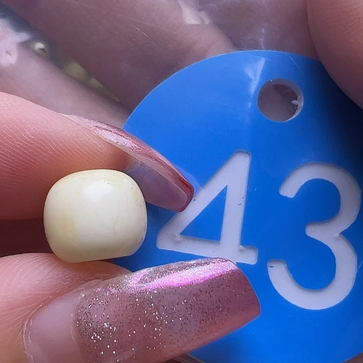 未镶嵌蜜蜡裸石微花粉9.4mm瓷白老型