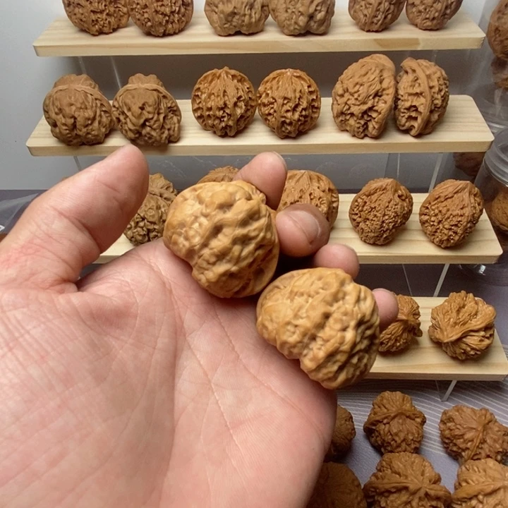 把件核桃?**爷38尺蛤蟆头