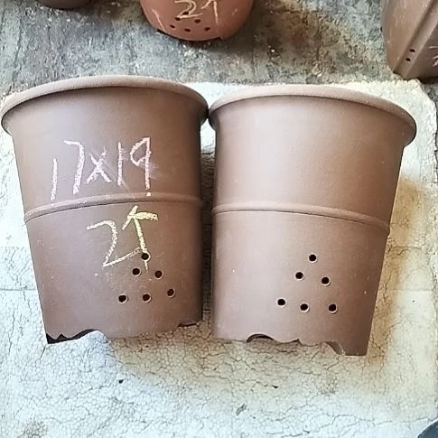 腰缠万贯两个微瑕
