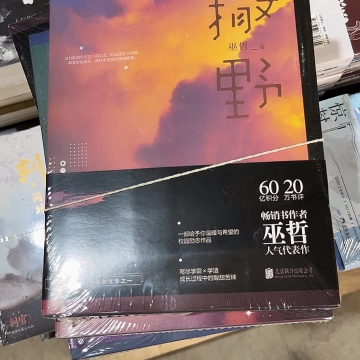 撒野新书推荐一套三本