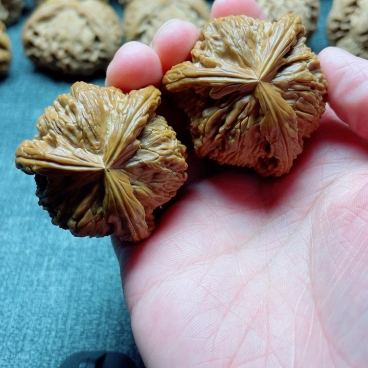 校*手工三棱白狮子三棱