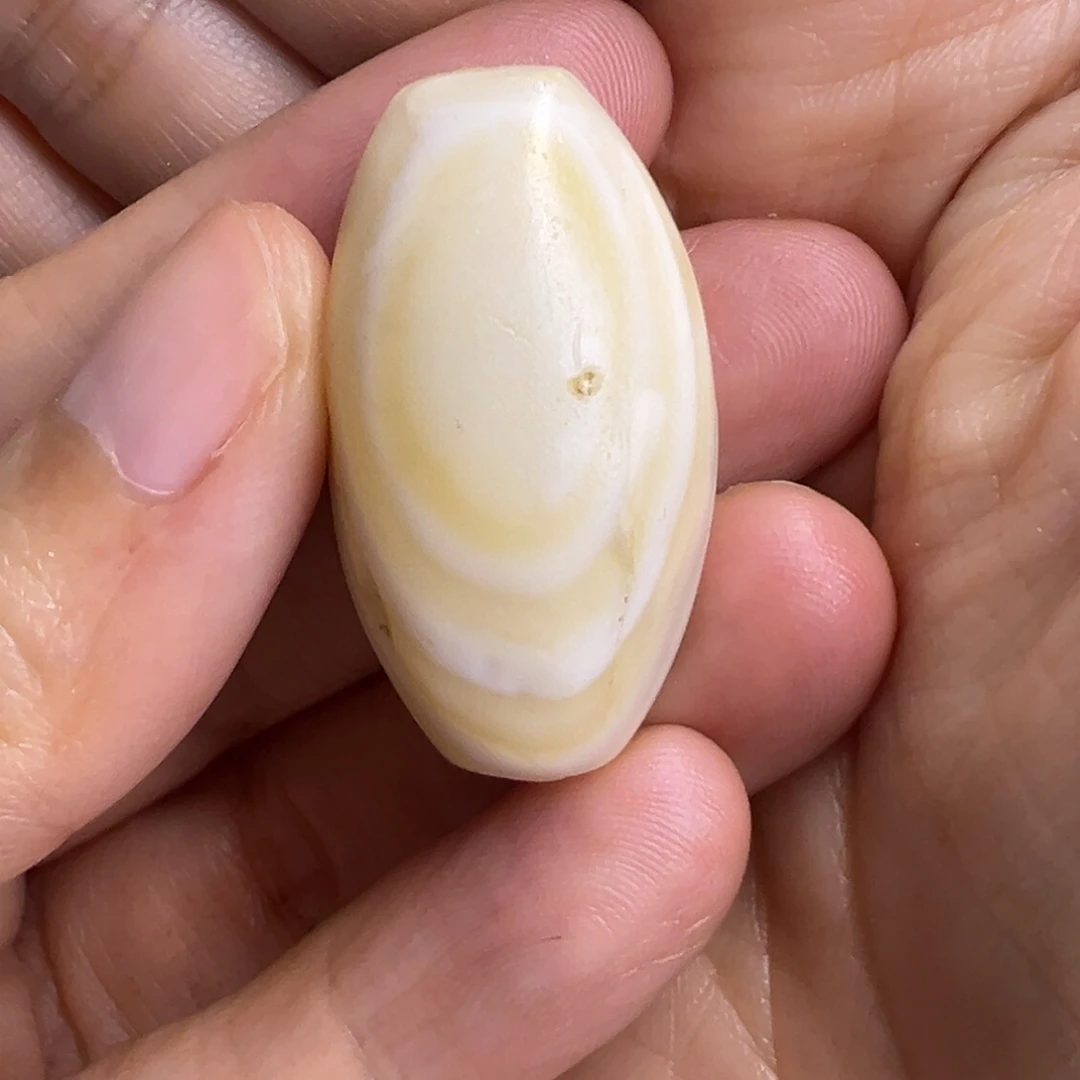 直发专拍专用链接