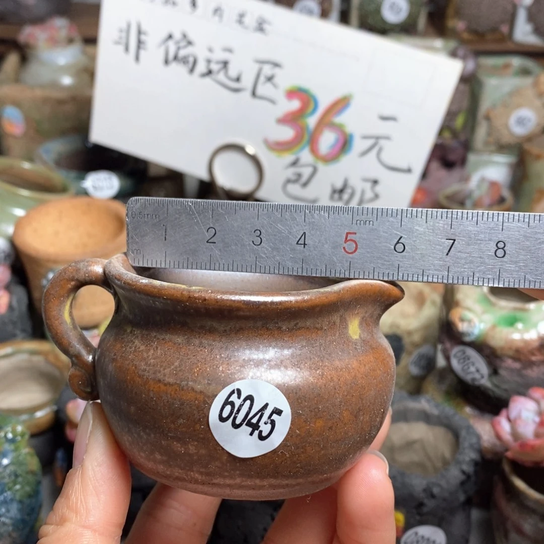 花盆拍5送一个小礼物