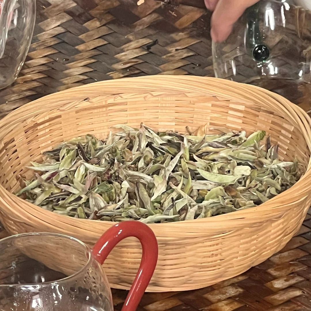 壹窑茶业雪芽苞散茶1.23日16号