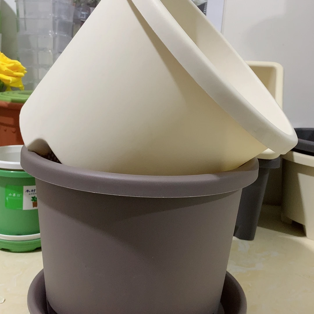 树脂球根口32米白3个带托