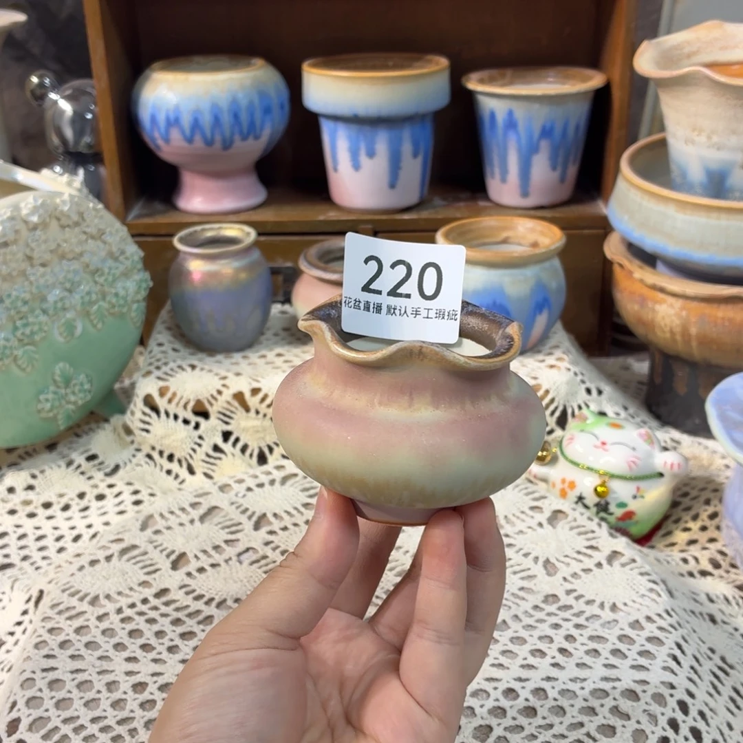 花盆花盆花盆花盆