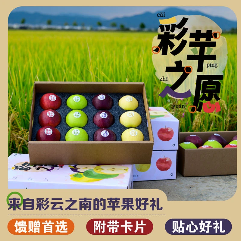 【四色苹果】彩苹之愿云南昭通苹果4-5斤装多色多拼彩色苹果送礼
