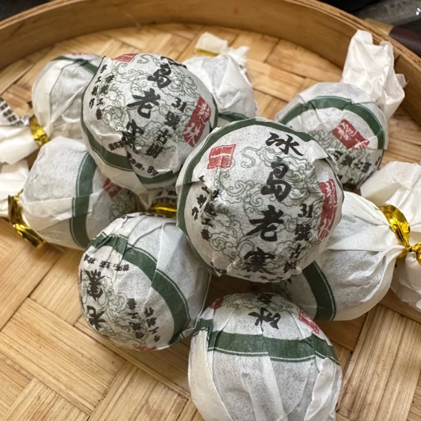 冰岛老寨31号古树龙珠春茶高香高甜