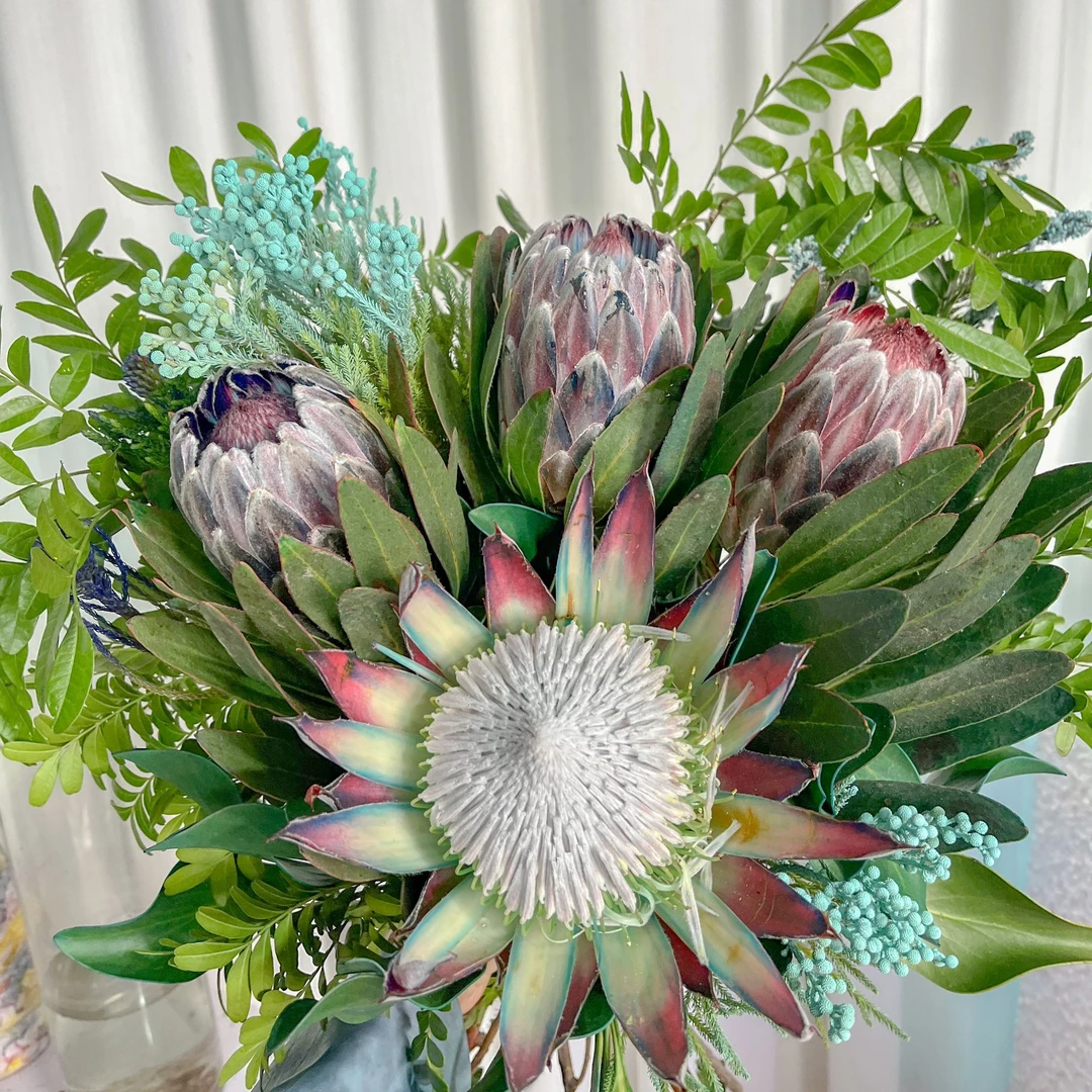 【冰蓝青木】南非进口新鲜公主花花束