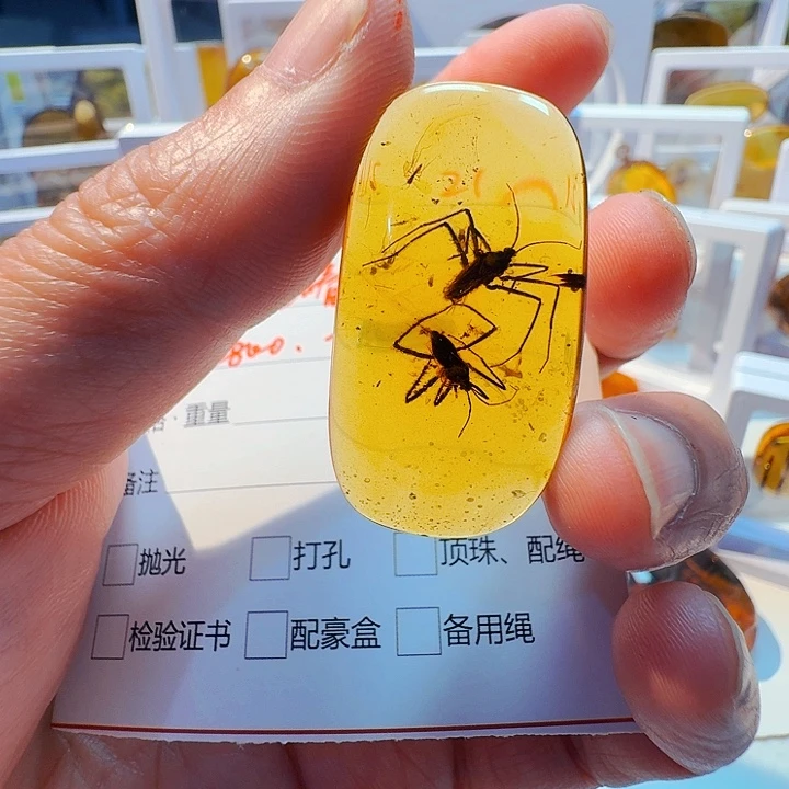 未镶嵌琥珀裸石平**光天然缅甸琥珀吊坠