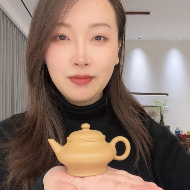 紫砂茶壶陆****修明式虚扁