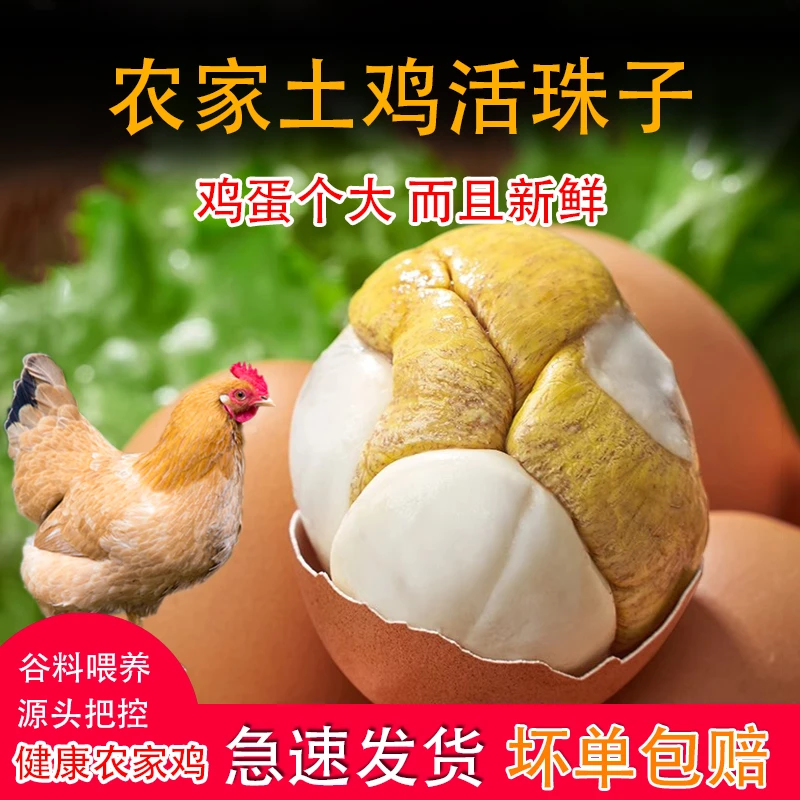 独立包装香辣味新鲜13天活珠子五香味开袋即食活珠子熟鸡胚钢化蛋
