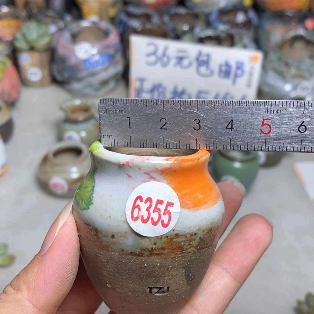拍5送一个小礼物