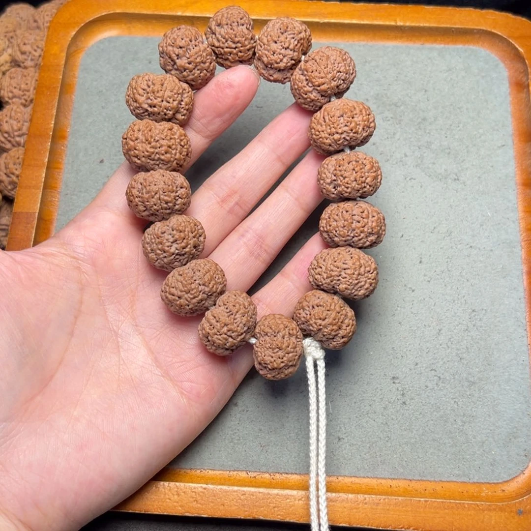 菩提6号金刚菩提菠萝蜜夹板22