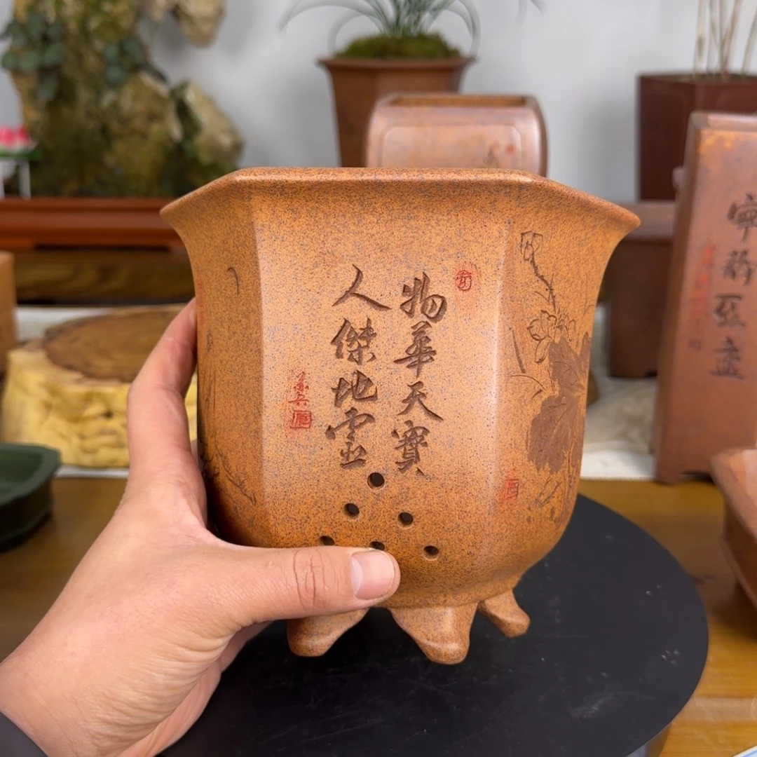 紫砂花盆陈*林紫砂花盆