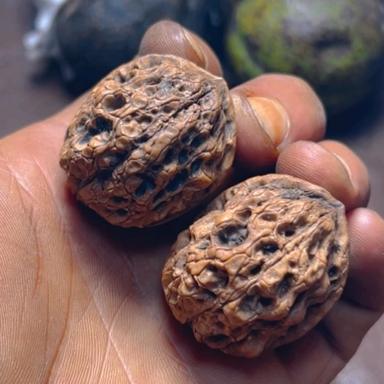 核桃卡36骨楼20号