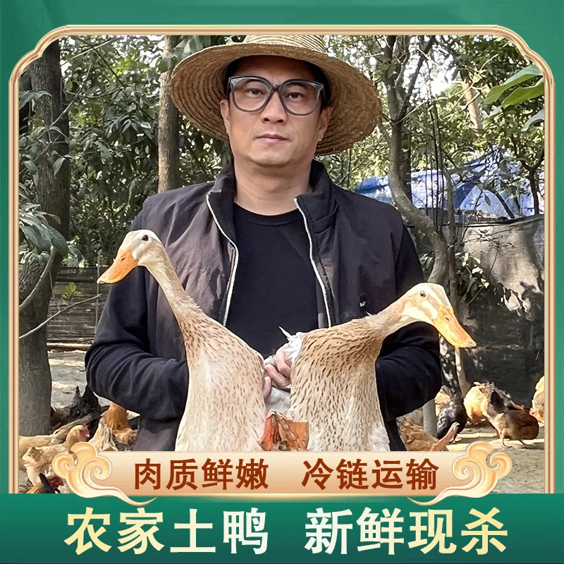 【c耕田佬】农户放养水鸭2只毛重6斤多净重4斤 非老鸭净膛发货